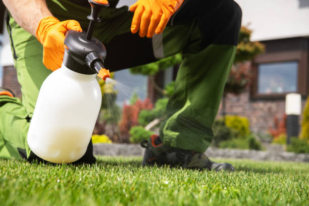 Best Insect Control  in Cheney, KS