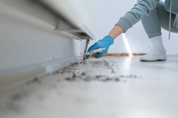 Best Residential Pest Control  in Cheney, KS