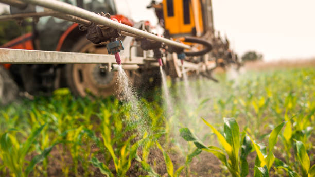 Best Ant Control Services  in Cheney, KS